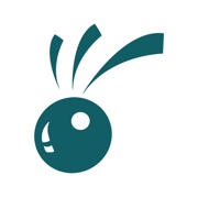 HOOPLAH Inc. Logo
